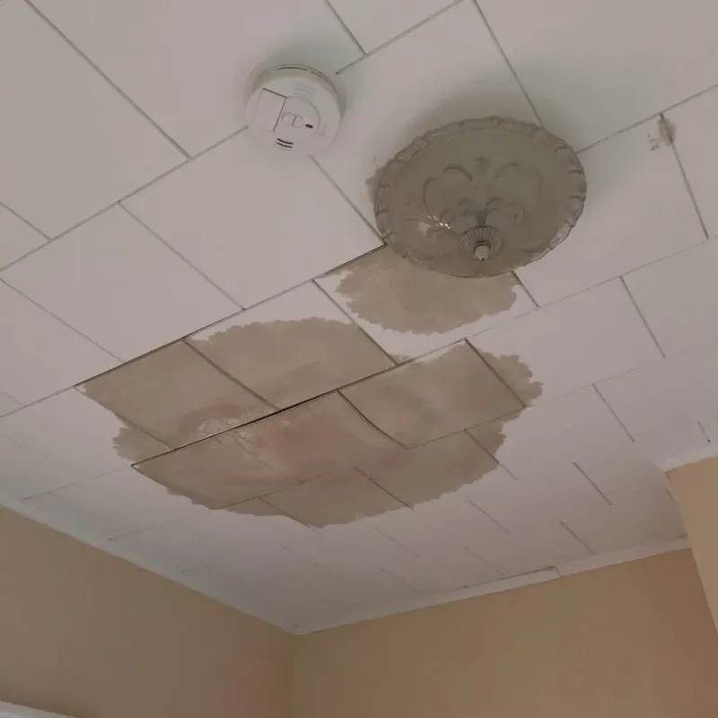 Ceiling Water Damage Repair in West Salem, WI