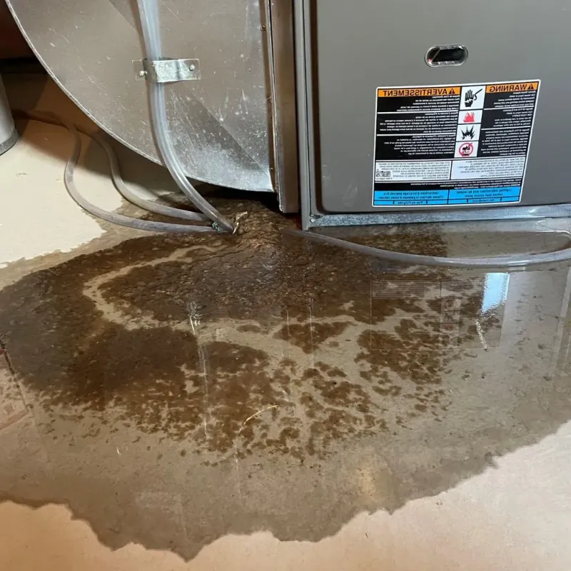 Pipe Burst and Leak Restoration in West Salem, WI