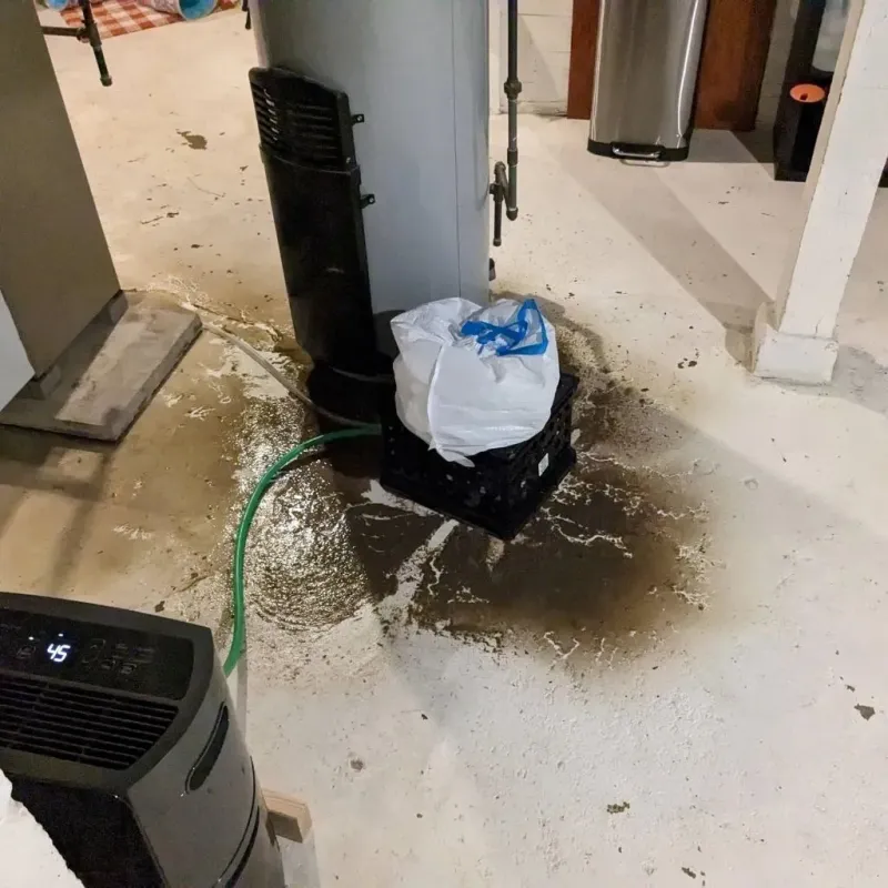 Sewage Backup Cleanup Service in West Salem, WI